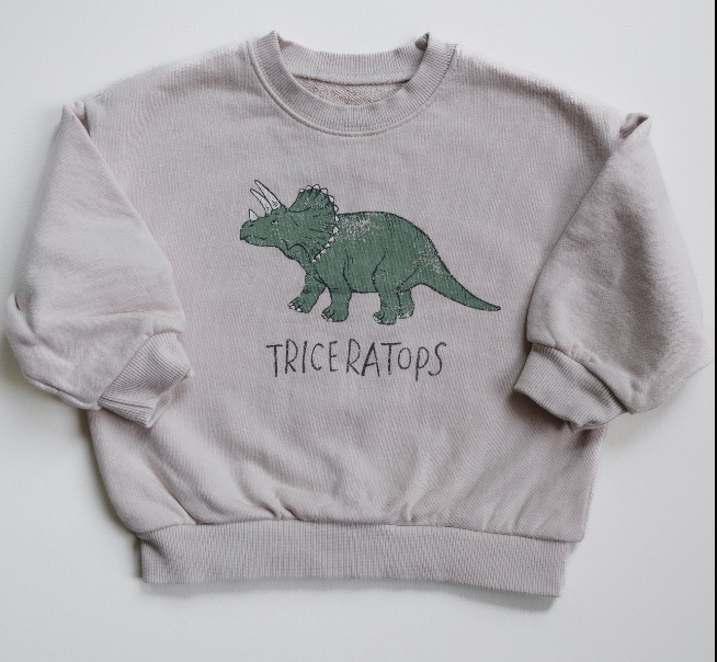 Dino Sweatshirt - Triceratops