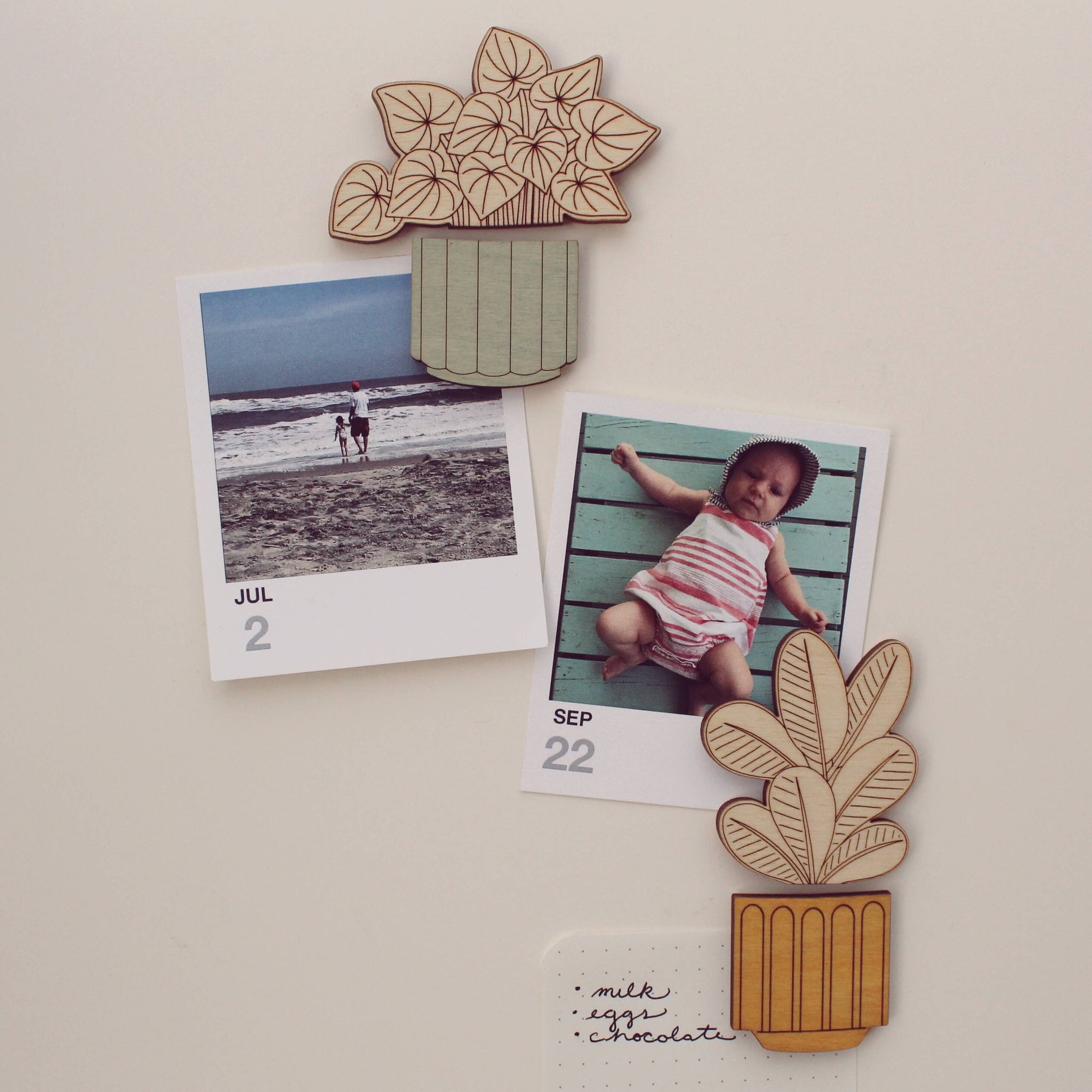 Wood House Plant Magnets | Watermelon Peperomia | Plant Lover Gift
