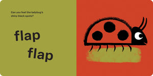 Spring Street Touch and Feel: Bugs by Boxer Books