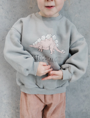 Dino Sweatshirt - Stegosaurus
