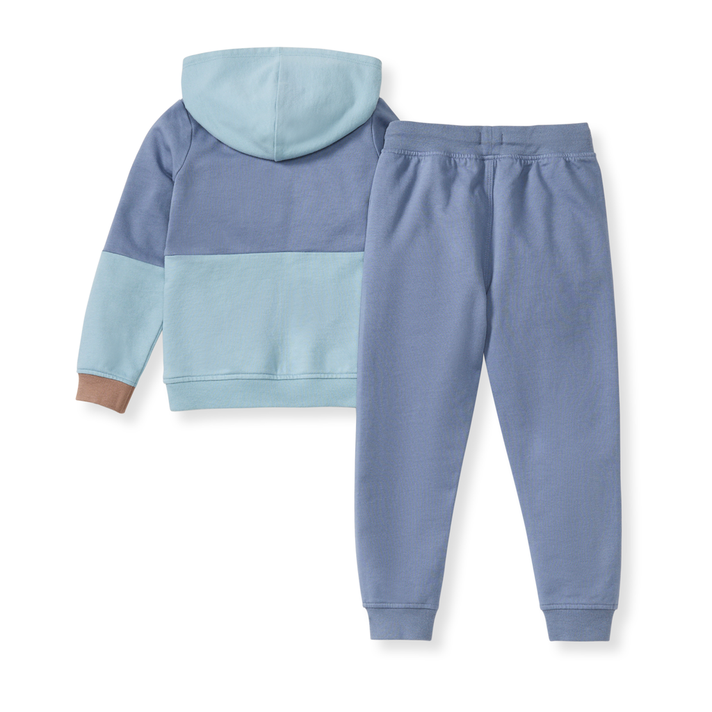 Burt's Bees Color Blocked Toddler Sweatshirt Set
