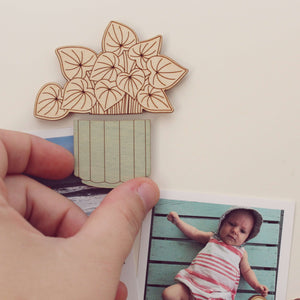 Wood House Plant Magnets | Watermelon Peperomia | Plant Lover Gift
