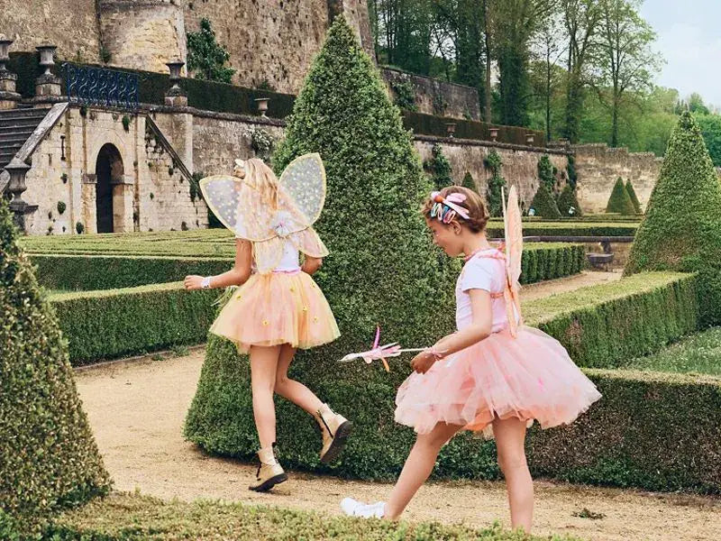 Gracia wings - Costume Accessory for Kids