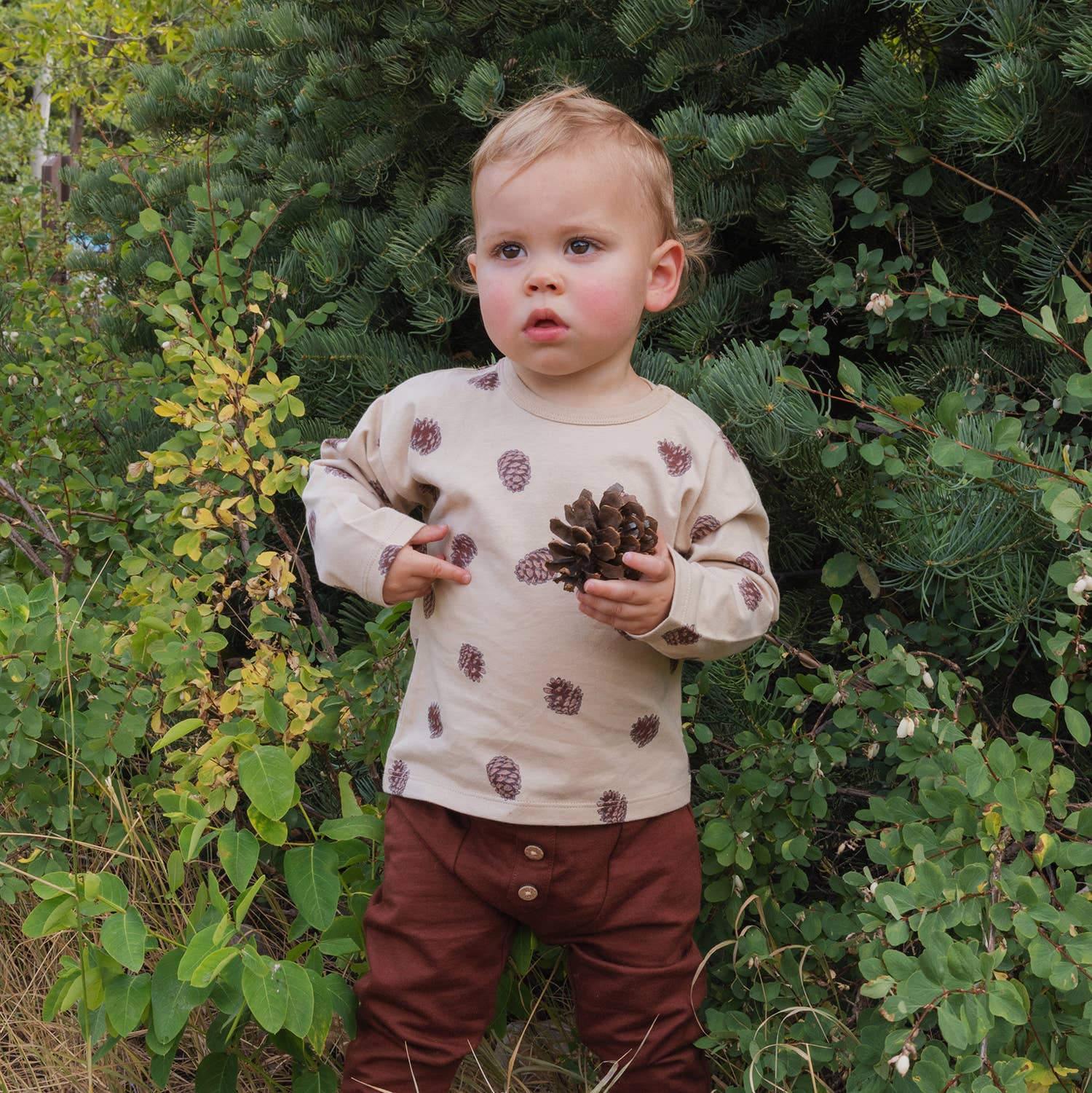 Baby Boy Set- Pinecones
