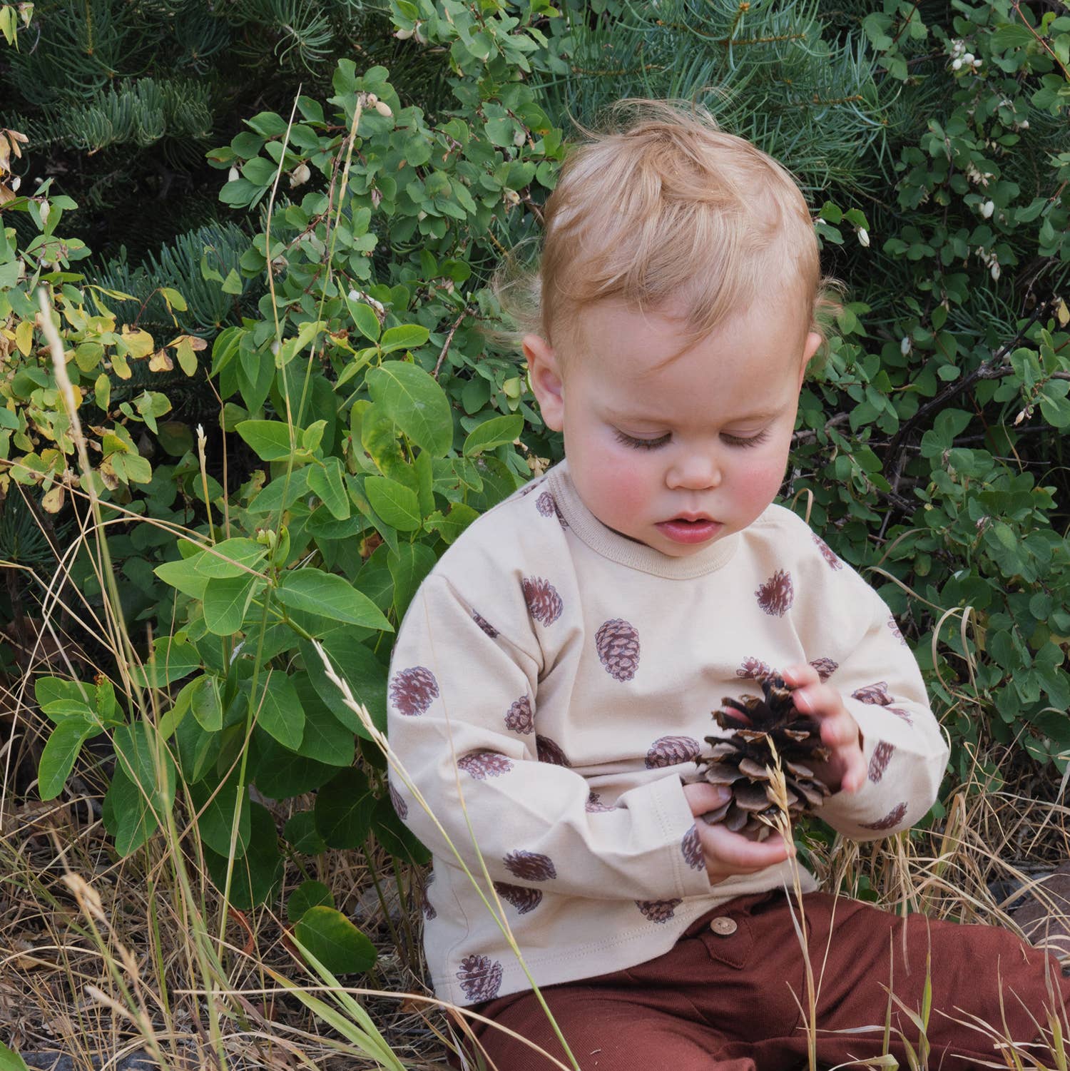 Baby Boy Set- Pinecones