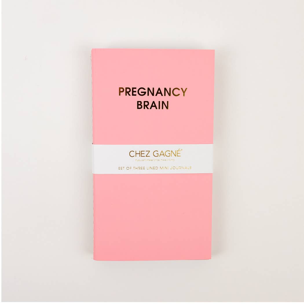 Mom Brain Mini-Journal Set