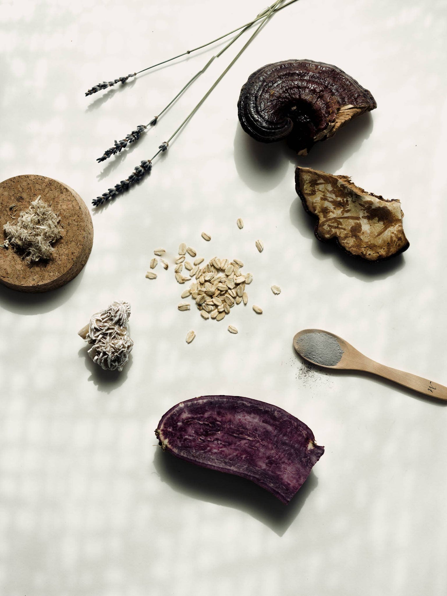 Lavender Reishi Facial Mask