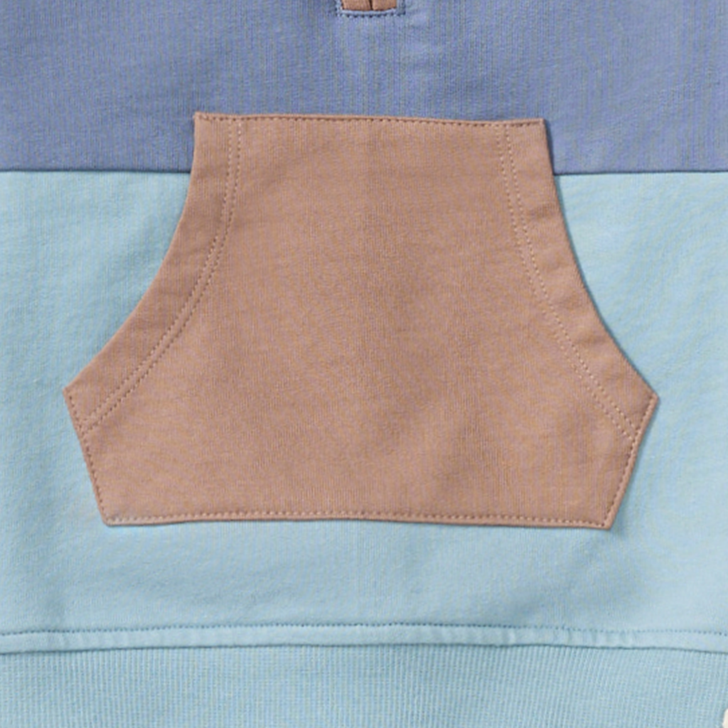 Burt's Bees Color Blocked Toddler Sweatshirt Set