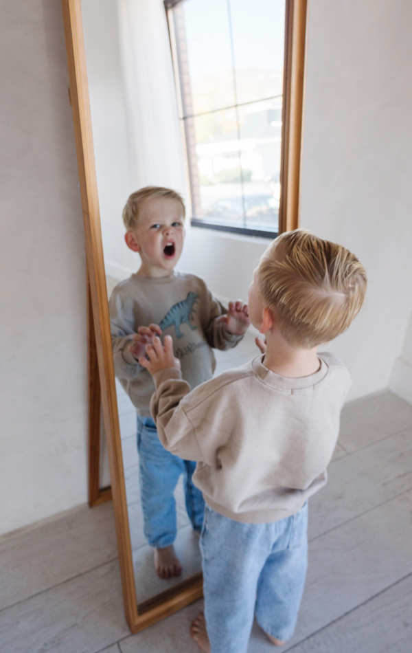 Dino Sweatshirt - Triceratops