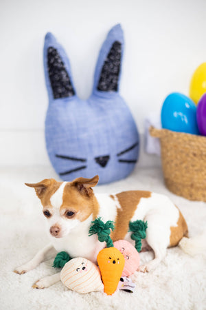 Easter Spring Veggies Rope Dog Toys, Set of 3