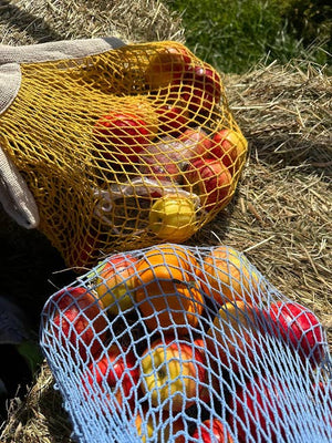 The french market bag no.2 in yolk