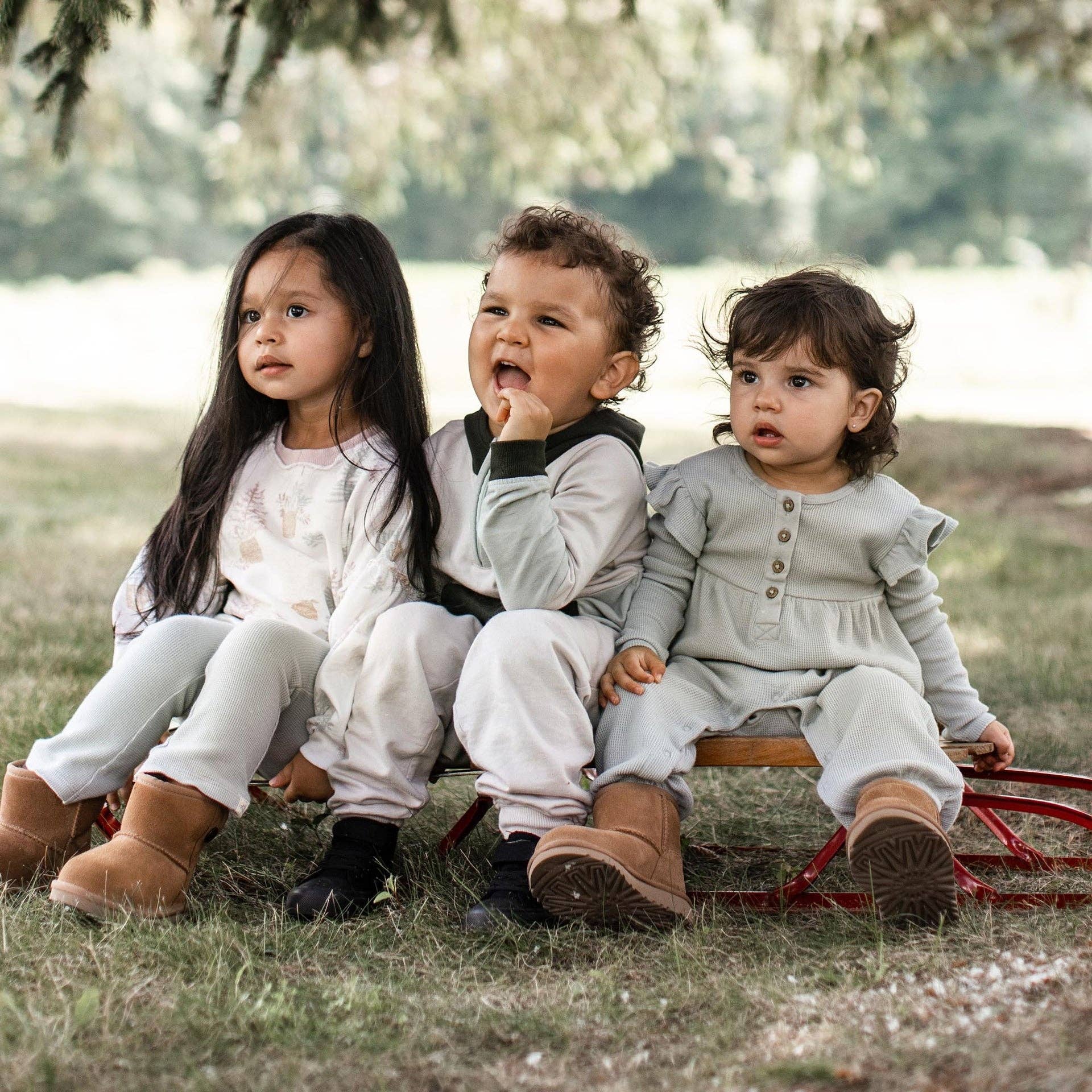 Color Blocked Sweatshirt & Pants Set - Bobcat