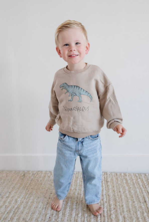 Dino Sweatshirt - Triceratops