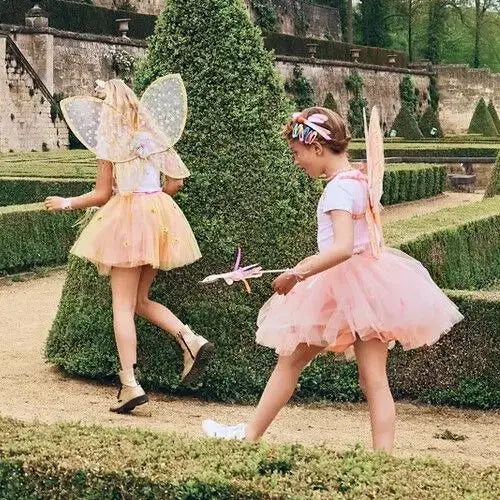 Rosanna wings - Costume Accessory for Kids